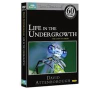 David Attenborough: Life In The Undergrowth - The Complete Seires