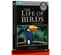 David Attenborough: The Life of Birds - The Complete Series [Region 2] - DVD