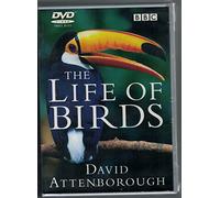 David Attenborough's Life Of Birds
