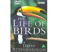 David Attenborough's Life Of Birds G