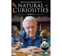 David Attenborough'S Natural 4 [Edizione: Regno Unito] [Import]