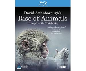 David Attenborough's Rise Animals: Triumph of T [Blu-Ray]