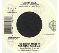 DAVID BALL - DAVID BALL-i'll never make it through this fall/what kind of hold WB (45 single record)