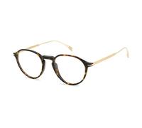 David Beckham Db 1105 2IK/20 HAVANA GOLD Eyewear Men Acetate, Standard, 49