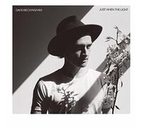 David Beckingham - Just When The Light [Import]