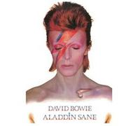 David BOWIE - 61x91,5 cm - AFFICHE / POSTER G