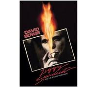 David BOWIE - 61x91,5 cm - AFFICHE / POSTER G