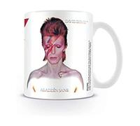 David Bowie Aladdin Sane Boxed Mug / Mug