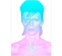 David Bowie is Collectif (Auteur), Victoria Broackes (Edité par), Geoffrey Marsh (Edité par)