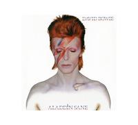 David Bowie - Puzzle Rock Saws Aladdin Sane (500 pièces)