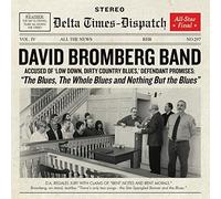 David Bromberg Band - Blues The Whole Blues And Nothing But The Blues - E4z