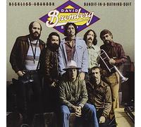 David Bromberg - Reckless Abandon/Bandit in a Bathing Suit