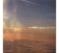 David Buckingham - View