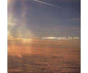 David Buckingham - View