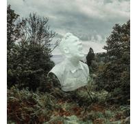 David C Clements The Garden (Vinyl) 12" Album