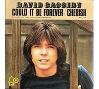 DAVID CASSIDY - DAVID CASSIDY - COULD IT BE FOREVER 7in [36395]
