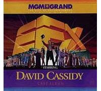 David Cassidy - EFX (UK Import)