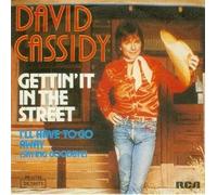 David Cassidy - Gettin' It In The Street - RCA - 26.11471