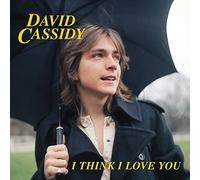 David Cassidy - I Think I Love You [Import]
