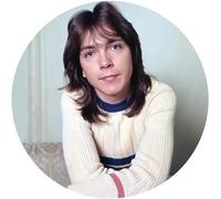 David Cassidy - I Think I Love You - Vinyl Record 12 Album Picture Disc - E4z