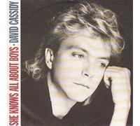 David Cassidy - She knows all about boys (1985) / Vinyl single [Vinyl-Single 7'']