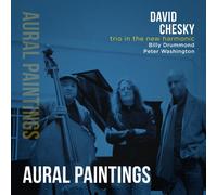 David Chesky - Trio In The New Harmonic: Aural Paintings [Cd] Digipack Packaging
