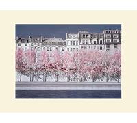 David Clapp (River Seine Infrared, Paris 30 x 40 cm montée d'impression