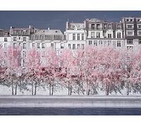 David Clapp (River Seine Infrared, Paris 30 x 40 cm Toile Imprimée