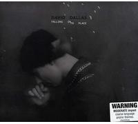 David Dallas - Falling Into Place [Import]