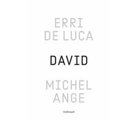 Erri De Luca – David, Michel-Ange : Enquête sur une disproportion – Relié, Gallimard