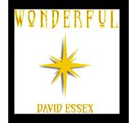David Essex - Wonderful [Import]