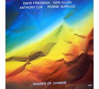 David Friedman - Shades of change (Vinyl-LP)