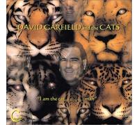 David Garfield - I'm The Cat, Man [Import]