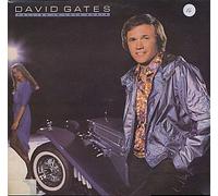 DAVID GATES - FALLING IN LOVE AGAIN LP UK ELEKTRA 1980