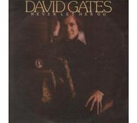 DAVID GATES - NEVER LET HER GO LP (VINYL) UK ELEKTRA 1975