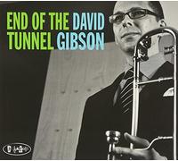 DAVID GIBSON - END OF THE TUNNEL