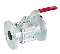 DAVID GOGO - Different Views