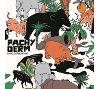 David Gordon Trio - Pachyderm [VINYL]