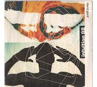 David Grant - INTUITION 88 7" (45) UK FRESH BEATS 1988 B/W SUMMER BREEZE DUB(FRES1) PIC SLEEVE