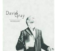 David Gray – Foundling – CD – Import (avec bonus)
