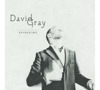 David Gray – Foundling – CD