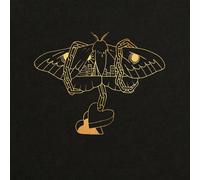 DAVID GRAY - GOLD IN A BRASS AGE CD NEUF