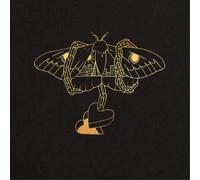 David Gray Gold in a Brass Age (Vinyl) 12" Album