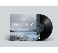 David Gray – Life in Slow Motion – Vinyle – Édition 20e anniversaire – Cargo Records