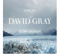 DAVID GRAY - LIFE IN SLOW MOTION CD NEUF
