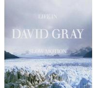 DAVID GRAY "LIFE IN SLOW MOTION" CD NEW