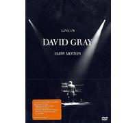 David Gray : Live in Slow Motion