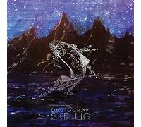 David gray - Skellig