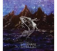 David Gray - Skellig [2LP]