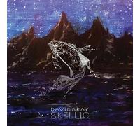 David Gray Skellig (Vinyl) 12" Album